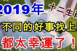 2019年，十二生肖將會有不同的好事找上門，都太幸運了！