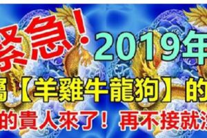 2019年，屬【羊雞牛龍狗】的人，貴人扶吉星照，翻身交好運，快來接