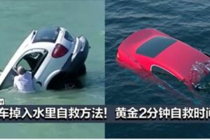 汽車掉入水裡的自救方法！你只有短短幾分鐘的自救時間！