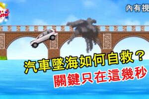 汽車墜海如何自救？三步驟救你一命！關鍵只在這幾秒之間！內有視頻！