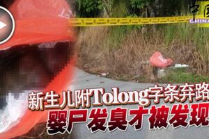 新生兒附「Tolong」字條棄路旁嬰屍發臭才被發現