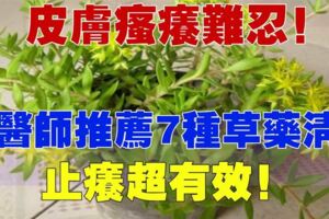 皮膚瘙癢難忍！中醫師推薦7種草藥清洗，超有效哦！！