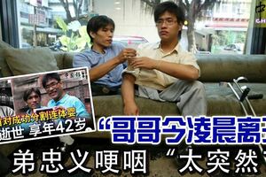 台灣第一對分割成功的連體嬰，「哥哥今凌晨離開」弟忠義哽咽「太突然了」