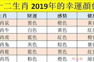 十二生肖2019年的幸運顏色，什麼顔色最旺你？看看就懂了