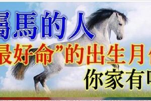 十馬九貴，屬馬的人「最好命」的出生月份