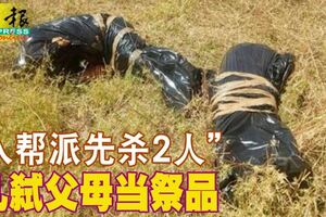 「入幫派先殺2人」！16歲兒弒父母當祭品