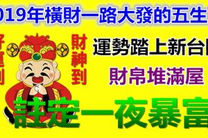 2019年橫財一路大發的五生肖，運勢踏上新台階，財帛堆滿屋