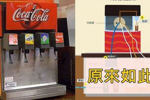 為什麼速食店的可樂特別好喝？「飲料機內部構造」揭密懂了：難怪超商的會輸！