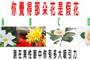 心理測試：你覺得那朵花是假花？測在異性眼中你有多大吸引力