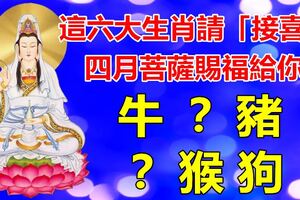 四月菩薩賜福給你，這六大生肖請「接喜」