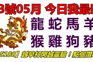 13號05月，今日我最旺！龍蛇馬羊猴雞狗豬！【35188】越早打開越靈驗！點個讚吧！