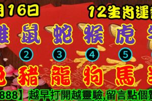 2019年5月16日，星期四，農歷四月十二（己亥年己巳月癸丑日）