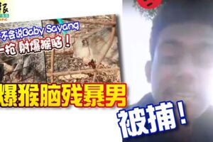 射爆猴腦殘暴男被捕！