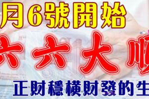 6月6號開始六六大順，正財穩橫財發的生肖