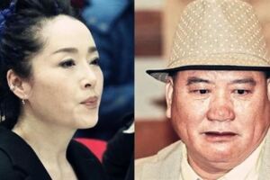 恬妞與前夫萬梓良離婚20年後再相見，恬妞感嘆：這或許就是緣分