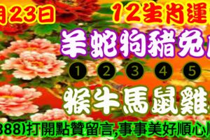 2019年6月23日，星期日，農歷五月廿一（己亥年庚午月辛卯日）