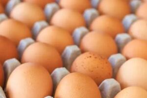 買回來的雞蛋不用放冰箱，只需放點它，半年都新鮮！