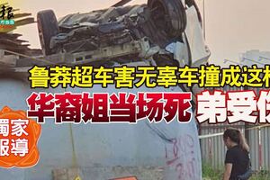 魯莽超車害無辜車撞成這樣！華裔姐當場死弟受傷