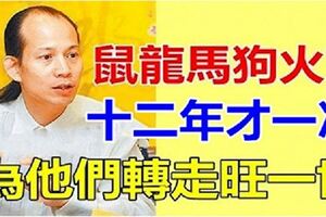 屬鼠龍馬狗火了，十二年才一次，為他們轉走旺一世