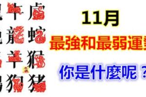 11月最強和最弱運勢的屬相~你是什麼呢？