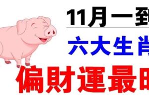 日進斗金！11月偏財運最旺的六個生肖，你上榜了嗎