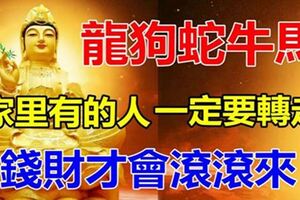 家裡有「龍狗蛇牛馬」的人，一定要轉走，財富才會滾滾來