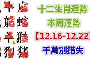 十二生肖運勢：本周運勢【12.16-12.22】千萬別錯失！