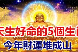 天生好命的5個生肖，今年財運堆成山