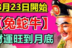 8月23日~8月25日財運火紅紅，錢財多多的生肖