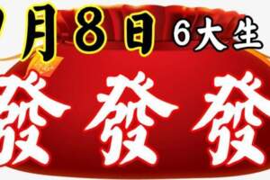 9月8日有財了，註定發發發的生肖