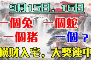 9月15日，16日橫財入宅，大獎連中的生肖