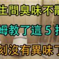 衛生間「臭味不散」，夏天更難聞！20年老保姆教了我這5招，立刻沒味了！超實用！