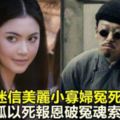 村民因迷信，害美麗小寡婦冤死小山村，小白狐以死報恩，破冤魂索命全村！