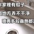 難怪你家裡有蚊子，這個地方弄不幹淨，噴再多殺蟲劑都沒用！