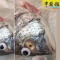 ﻿幫死魚貼「美瞳」裝新鮮魚店手法拙劣遭查封