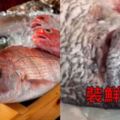 她爽買到「新鮮魚」一回家秒穿幫...惡魚販異想天開「裝鮮」！網：怎麼可能沒發現啦(影)