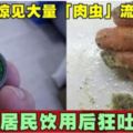 食用水驚見大量「肉蟲」流出居民飲用後狂吐腹痛!