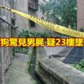 庭院溜狗驚見男屍疑23樓墜下慘亡