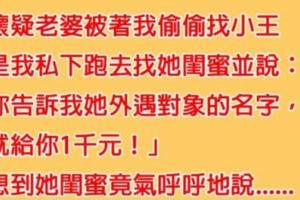 老公懷疑妻子有小王，因此找她閨蜜套出真相，沒想到腦殘閨蜜竟「意外出賣好友」...網友：只怕豬一般的隊友！