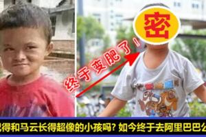 你還記得當年那個和馬雲長得很像的小孩嗎？如今9歲的他居然肥成這樣，還去阿裡巴巴公司參觀了！員工：老闆來了！