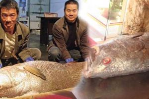 貧困大叔捕魚時竟發現「浮屍」，靠近一看原來是一隻「百斤大魚」，把牠拖回家後竟然就「一夜暴富」了…