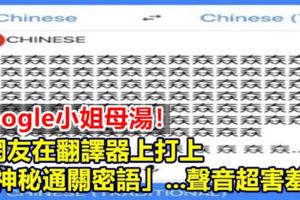 Google小姐母湯！網友在翻譯器上打上「神秘通關密語」…聲音超害羞