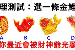 心理測試：四條金鯉魚選一條，測出你最近會不會被財神爺光顧？