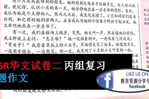 UPSR系列-華文試卷二-丙組命題作文範文