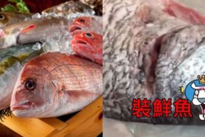 她爽買到「新鮮魚」一回家秒穿幫...惡魚販異想天開「裝鮮」！網：怎麼可能沒發現啦(影)