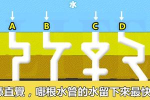 【測驗】哪根水管的水流下來最快？測你有什麼驚人天賦！