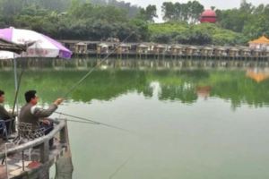 這個老闆免費讓顧客在他挖的魚塘釣魚，看似很傻的決定卻讓大家都學到了重要的知識！