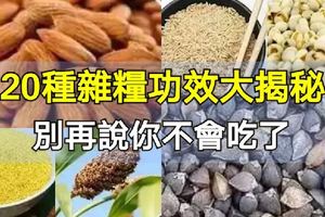 20種雜糧功效大揭秘，受用一生！別再說你不會吃了