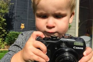 拿相機給1歲半兒子「請他隨便拍」　一收回發現好多張精彩大作