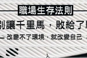 職場生存法則：別讓千裡馬敗給了驢！你改變不了環境，就改變自己！